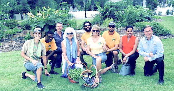 Newsletter July 2020